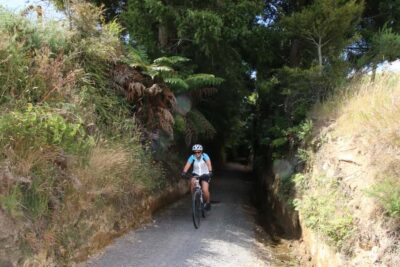 Full Day Ebike Tour – Karangahake Gorge NZ