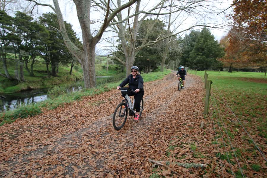Full Day Ebike Tour - Karangahake Gorge NZ - Through the railway tunnel toward Paeroa