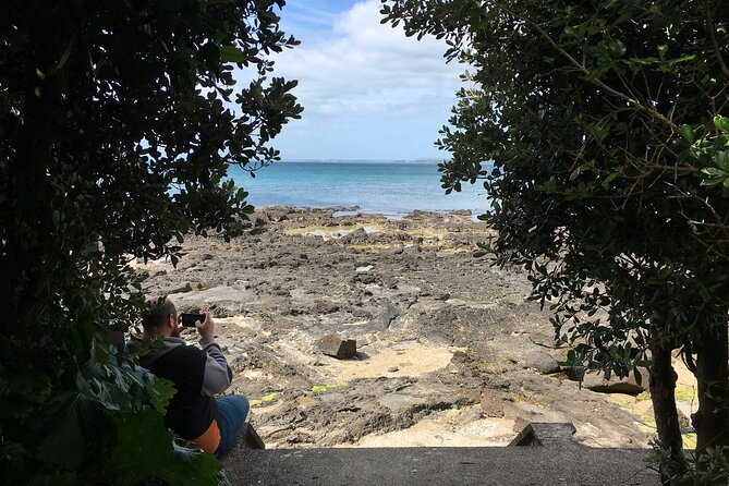 Full-Day Grand Auckland Volcanoes Tour - Achilles Point opens with Hauraki Gulf views