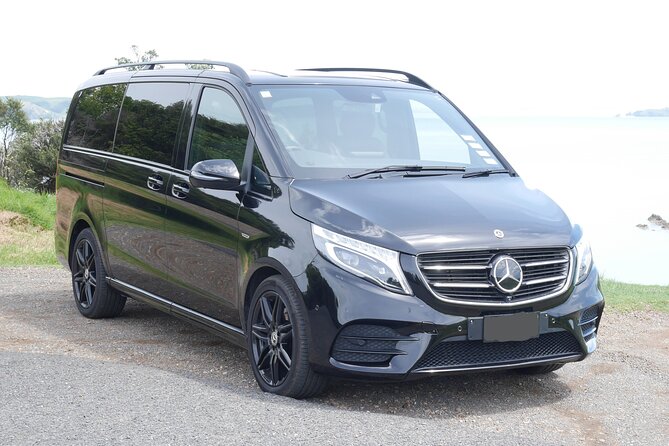 Full Day Private Waiheke Island Wine Tour Including Lunch - Why a private Waiheke wine day makes sense