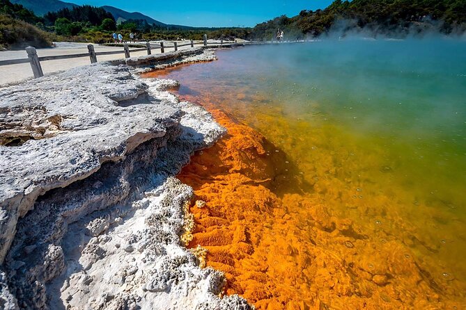 FULL DAY ROTORUA TOUR - Fully Customisable 13 hours Unlimited KMS - Timing: the real decision you need to make