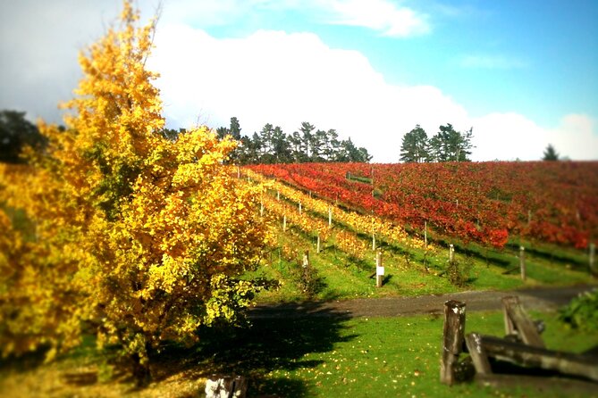 Full-Day Wine Tasting Tour in Auckland with 3-Course Vineyard Lunch - The fourth winery and what the schedule means