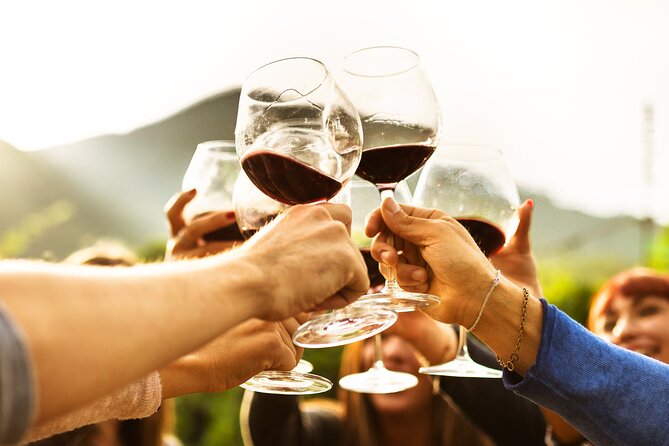 Full-Day Wine Tasting Tour in Auckland with 3-Course Vineyard Lunch - Pickup, timing, and the small-group setup