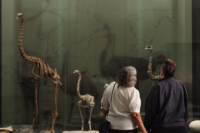 Gallery Highlights Tour and General Admission - Natural history, geology, and New Zealand identity