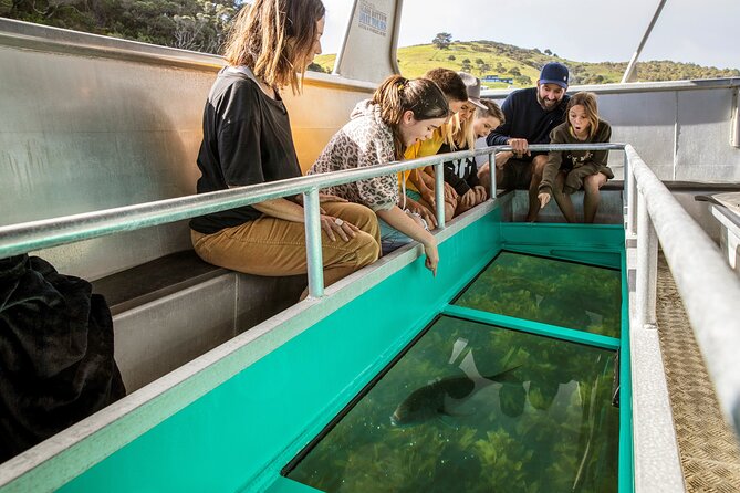 Glass Bottom Boat Tour - Seeing Goat Island without getting wet