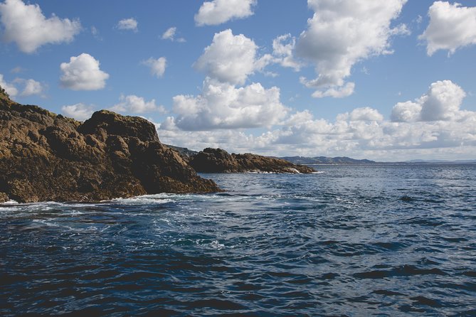 Glass Bottom Boat Tour - Planning your visit from Auckland