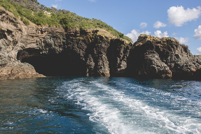 Glass Bottom Boat Tour - Weather, wildlife, and realistic expectations