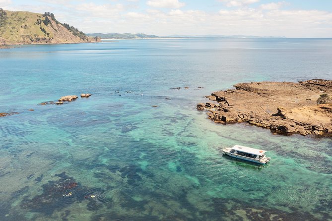 Glass Bottom Boat Tour - What happens during the 50-minute reserve cruise