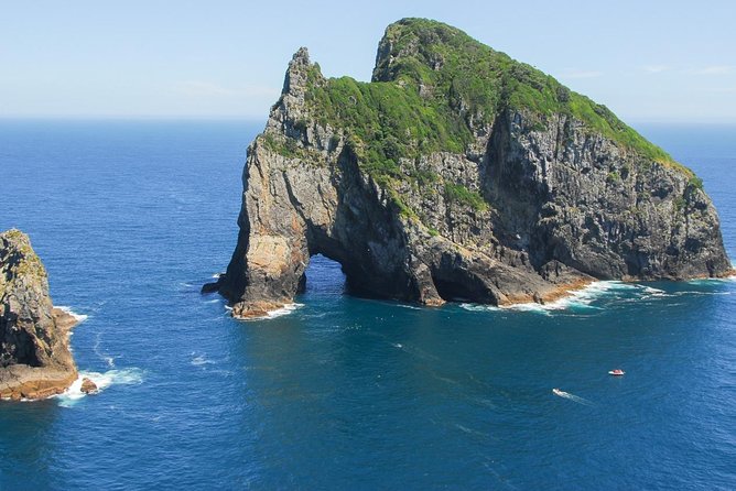 Group tour to Bay of Islands return from Auckland - Why the Bay of Islands is worth the long ride from Auckland
