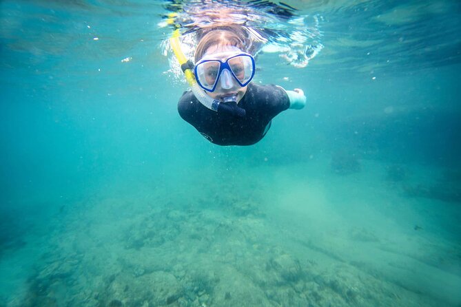 Guided Snorkeling and Island Exploration in Auckland - Arriving at Tiritiri Matangi Wharf