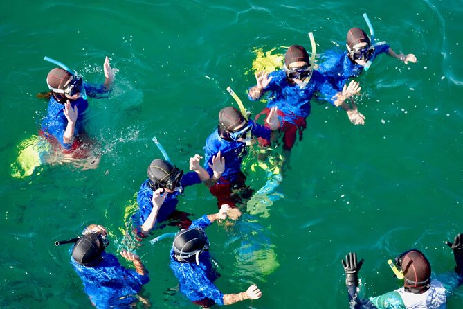 Guided Snorkeling and Island Exploration in Auckland - Who will enjoy this island experience most