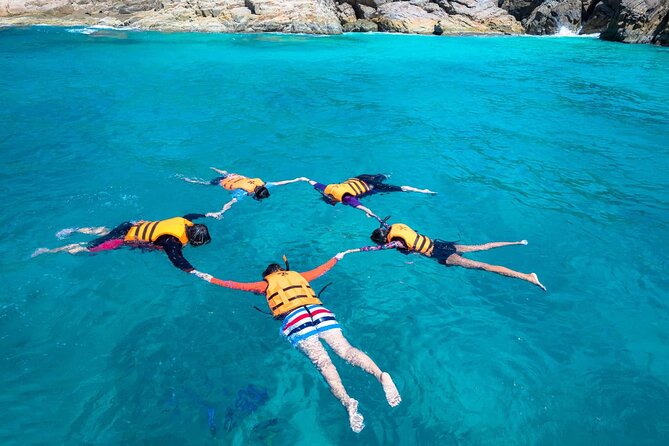 Guided Snorkeling and Island Exploration in Auckland - What the snorkeling portion is like