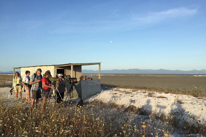 Guided Tour at Pukorokoro Shorebird Centre - Telescopes, tides, and better bird watching