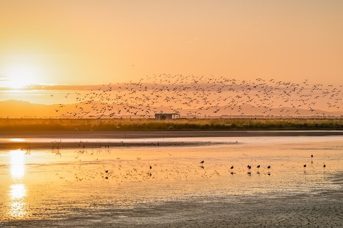 Guided Tour at Pukorokoro Shorebird Centre - How to prepare for the reserve
