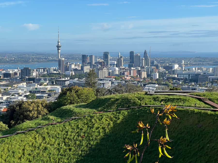 Half-Day Auckland City Highlights Tour with Hotel Pickup - Key points at a glance