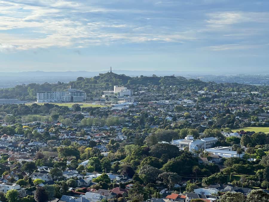 Half-Day Auckland City Highlights Tour with Hotel Pickup - Mount Eden and the café alternative
