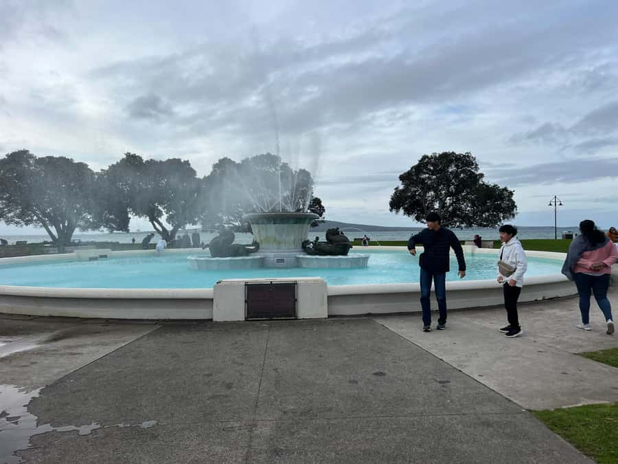 Half-Day Auckland City Highlights Tour with Hotel Pickup - What $89 includes, and where the value sits