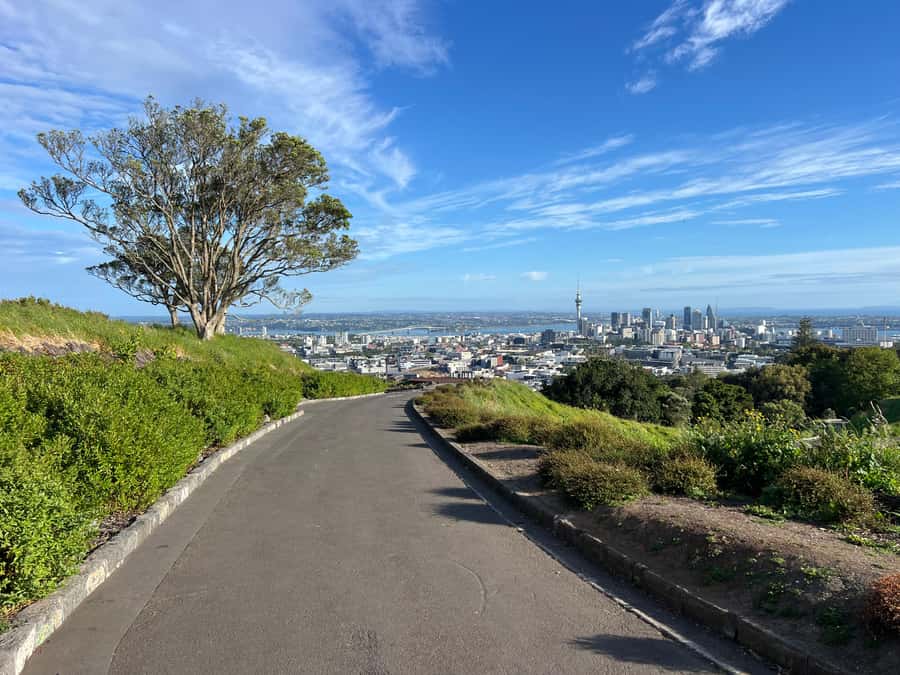 Half-Day Auckland City Highlights Tour with Hotel Pickup - Downtown Auckland and the Sky Tower