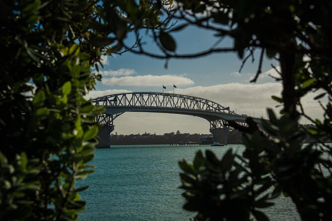 Half-day Discover Auckland City Sightseeing Tour - Key things to know before booking