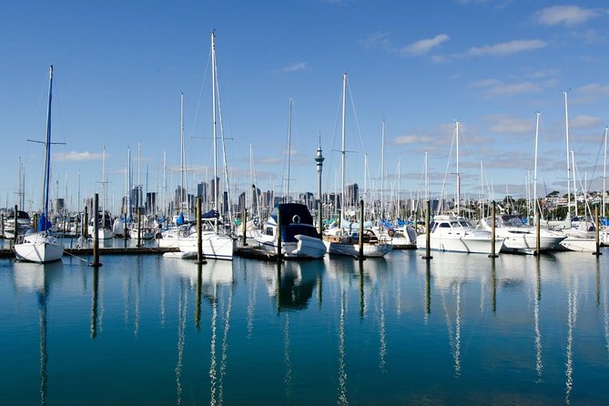 Half-day Discover Auckland City Sightseeing Tour - Mt Eden: the tour’s best city view