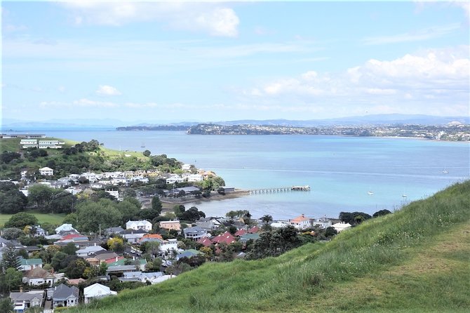 Half-Day: Small Group Auckland Scenic Tour - 4 HOURS - Mount Eden and Maungakiekie