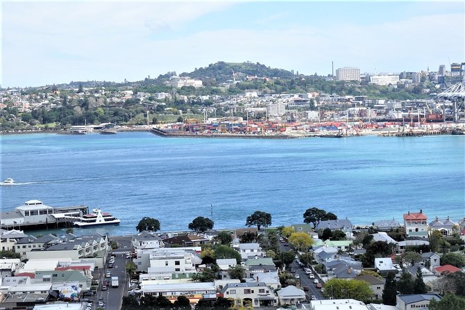 Half-Day: Small Group Auckland Scenic Tour - 4 HOURS - What the small-group van adds