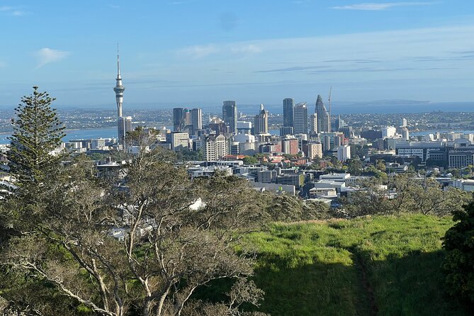 Half-Day Tour: AUCKLAND CITY Highlights with Hotel Pickup - A Fast Orientation to Auckland’s Many Sides