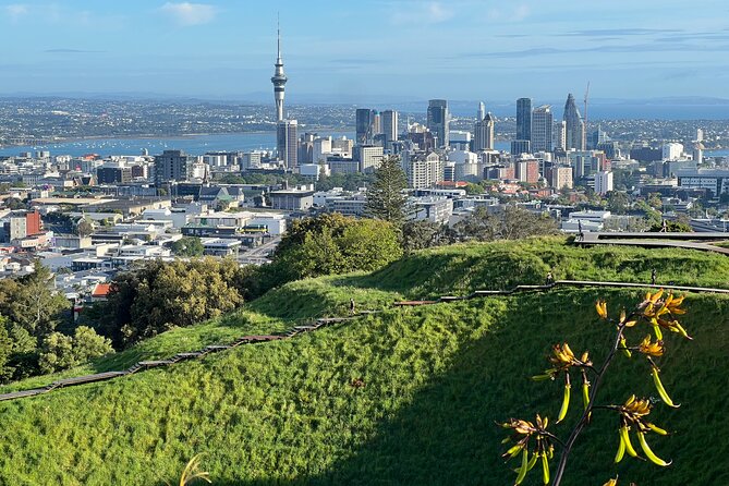Half-Day Tour: AUCKLAND CITY Highlights with Hotel Pickup - Forty-Five Minutes Along Tamaki Drive