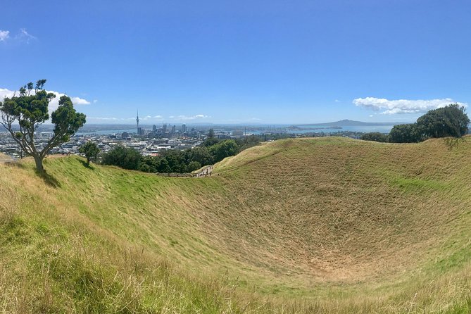 Half-Day Volcano Tour from Auckland - Key points at a glance