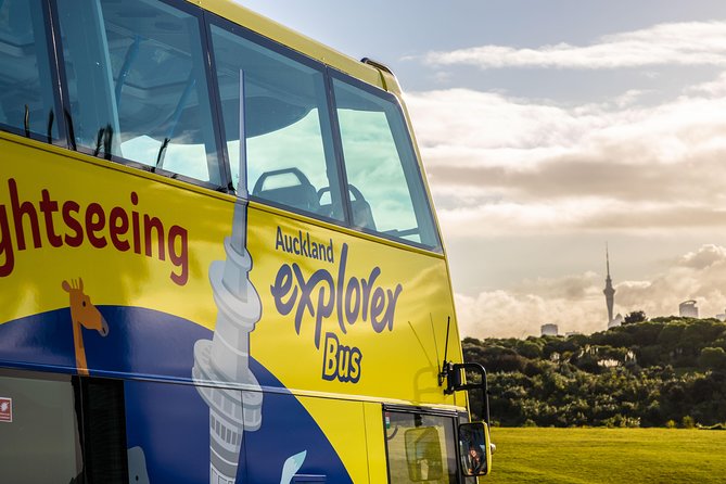 Half-Day Volcano Tour from Auckland - What the guide adds to the experience