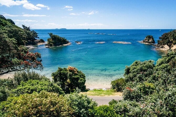 Hauraki Gulf Eco Sailing Adventure - Swimming, snorkeling, and stand-up paddleboarding