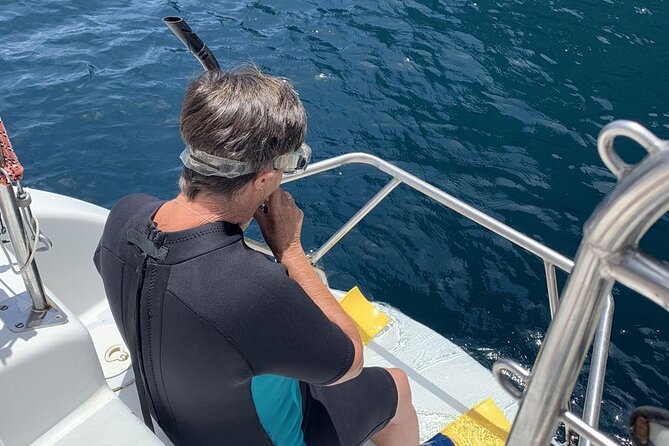Hauraki Gulf Eco Sailing Adventure - A pest-free island walk and the chance to see Tiritiri Matangi