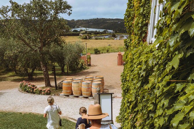 High End Sommelier Tour on Waiheke Island - Choosing wine, spirits, beer, or olive oil