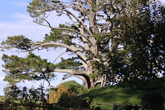 Hobbiton Afternoon Tour in Luxury Minibus from Auckland - The Green Dragon Inn finish