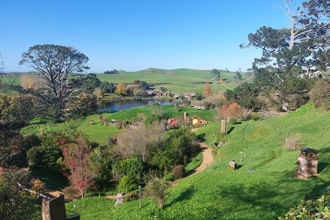 Hobbiton Afternoon Tour in Luxury Minibus from Auckland - The Auckland to Waikato drive