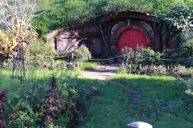 Hobbiton and Waitomo Caves from Auckland - Smaller Group - The Waitomo Glowworm Cave experience