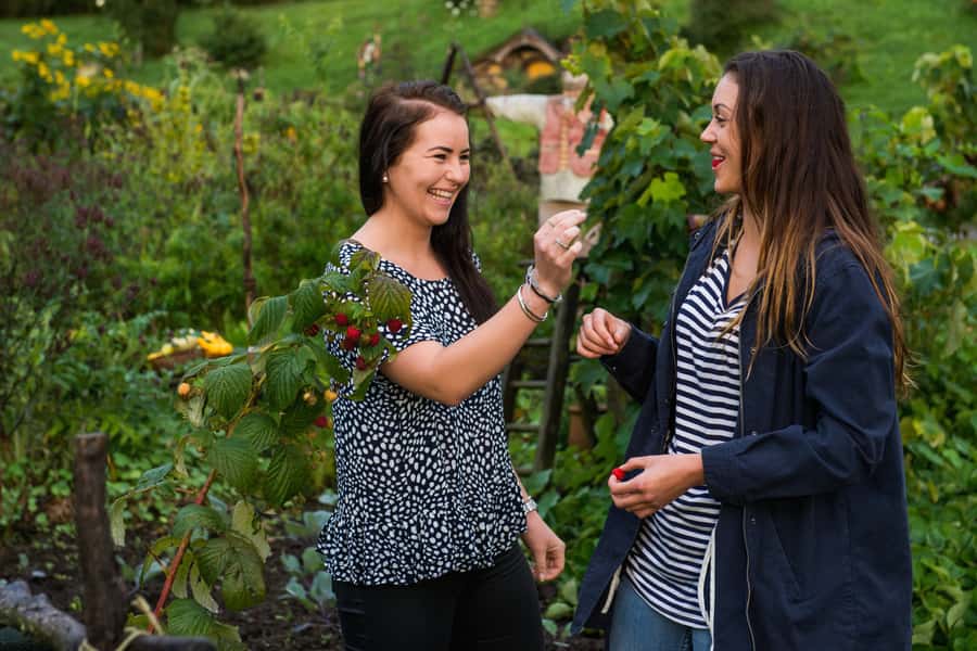 Hobbiton Movie Set & Rotorua Premium Day Tour from Auckland - Who will get the most from this tour?