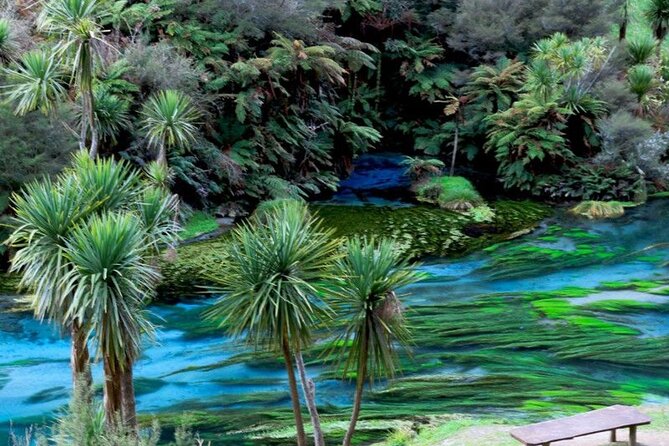 Hobbiton Movie Set Tour to Blue Springs and Mineral Spa - Tirau lunch stop and a useful pause