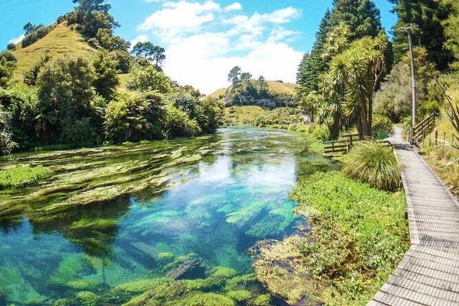 Hobbiton Movie Set Tour to Blue Springs and Mineral Spa - Who will enjoy this private North Island route?