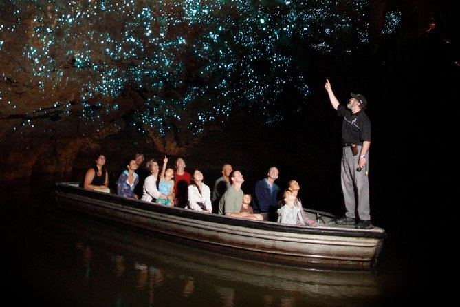 Hobbiton & Waitomo Caves Exclusive Luxury Day Tour From Auckland - From Auckland to the Waikato at 7am