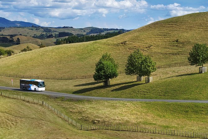 Hobbiton & Waitomo Caves Guided Tour from Auckland with Lunch - Is the $271.19 price fair?