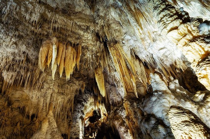 Hobbiton & Waitomo Caves Small Group Tour from Auckland inc Lunch - Lunch in Otorohanga