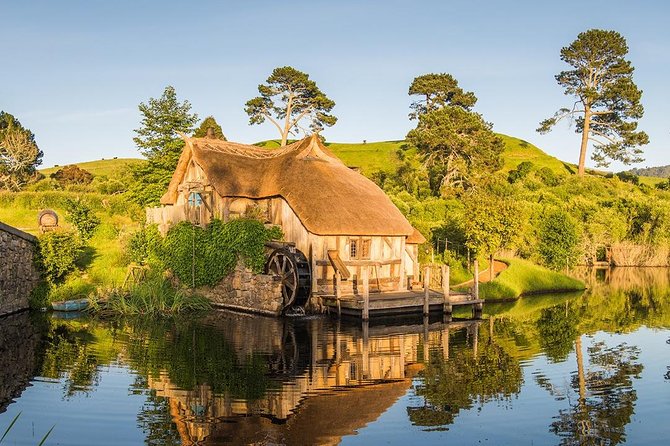 Hobbiton & Waitomo Caves Small-Group Tour W Lunch from Auckland - The ride back to Auckland