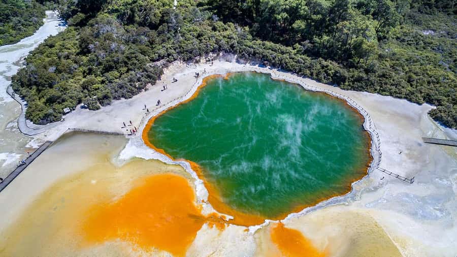 Hobbiton, Waitomo, Rotorua & Taupo 2-Day Tour from Auckland - Day two: Wai-O-Tapu and Lady Knox Geyser