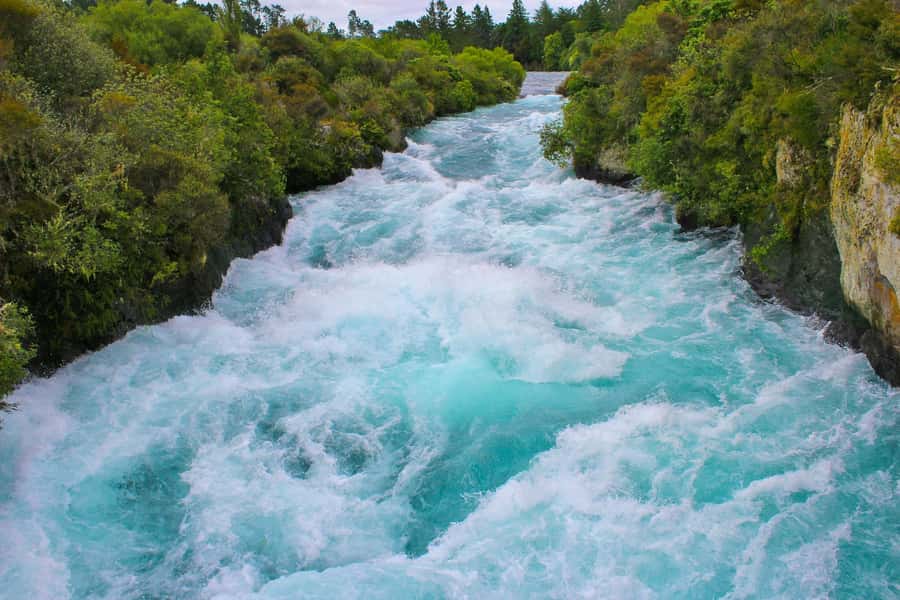 Hobbiton, Waitomo, Rotorua & Taupo 2-Day Tour from Auckland - Hamilton Gardens closes the loop