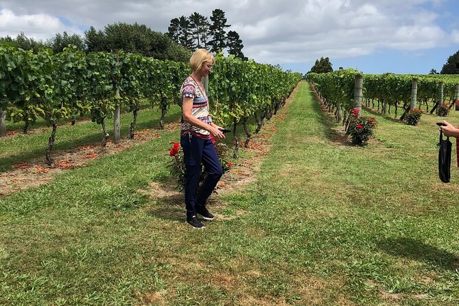 Kumeu Wine Tour - Soljans Estate Winery starts the tasting day