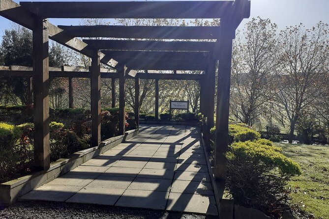 Kumeu Winery Boutique Tour with Gourmet Lunch from Auckland - Three wineries in four hours from Auckland