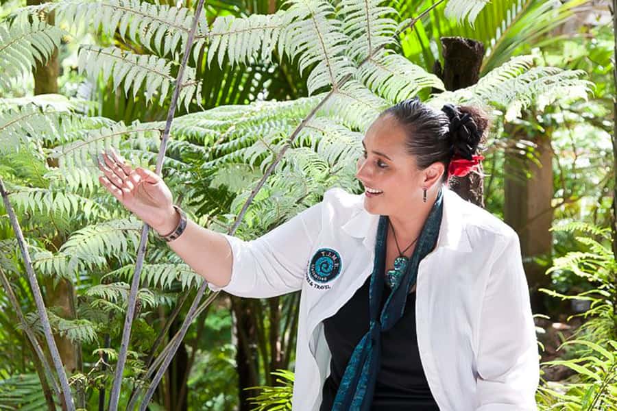 Luxury Auckland Maori Tour - Why this Auckland tour works so well