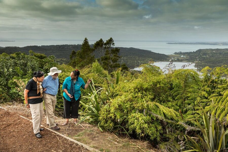 Luxury Auckland Maori Tour - Cliffs, surf and a black sand beach