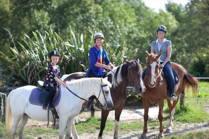 Matakana Art & Horse Riding Experience Private Tour From Auckland - Key points to know before you book